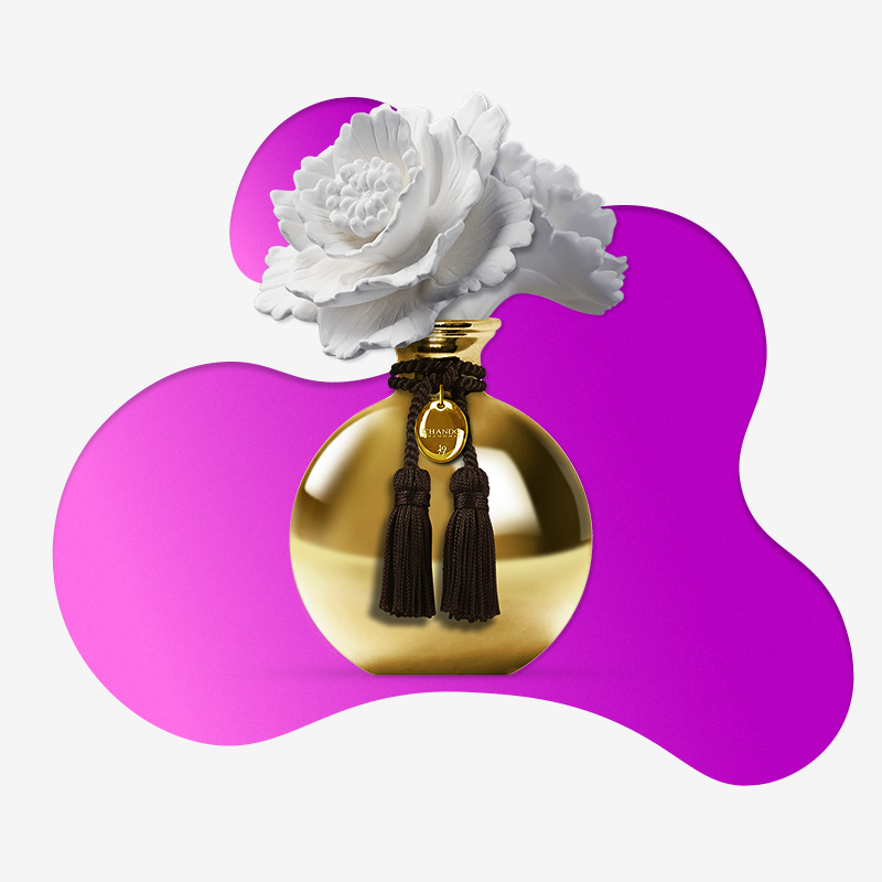 بوگیر و خوشبو کننده هوا