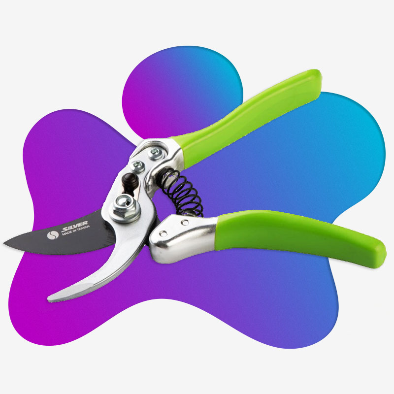 قیچی ، چاقو و ابزار باغبانی